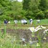 舞岡公園のゴールデンウィーク