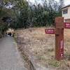 【奈良ひとり旅】『山の辺の道（柳本～天理）』ハイキング｜日本最古の官道を歩く