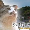マレーシアの映えスポット：クチン水上マーケット（Kuching Waterfront Market）