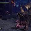 MONSTER HUNTER WORLD ICEBORNE:PS4版：鎧玉救済クエスト『黒轟竜は傷つかないティガレックス亜種』鎧玉集めに最適