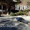 2019年はこんな感じで。。