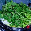 これぞ究極のパクチー料理？タイ在住者におすすめのパクチー鍋