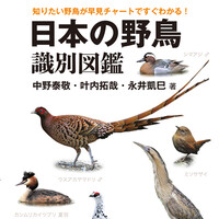 知りたい野鳥がチャートですぐわかる一冊が登場 とりまとめ