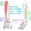 山登りと筋肉痛