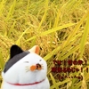 収穫祭♪