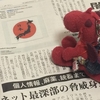天皇に対するわたし自身の考え方と、その変遷
