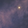 今朝は千鳥干潟から