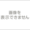 ポケモンGOプラスを購入するにはどうしたらいいか？