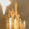 東京ディズニーランド”Reach for the Stars： Everlasting Dreams”　ファンダフルディズニー・鑑賞エリアレポート