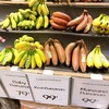 【甘いのはどっち？】黄色いバナナvs赤いバナナ