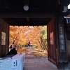 秘密の紅葉スポット③古田織部ゆかりの興聖寺、秋の特別参観が開催中✨
