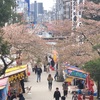 東照宮御祭礼が今日から始まりました