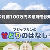 せどりの月商１００万円の意味を説明します。