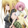 To LOVEる-とらぶる- ダークネス 第6巻 アニメDVD付予約限定版の画像（zip/rarじゃない）試し読みなし。