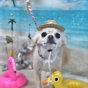 エリスケのトレード日記