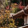 弘明寺の紅葉