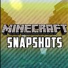 【マインクラフト】Snapshotでサーバーを建てる方法【Minecraft】