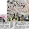 昨日の北国新聞朝刊より「桜のトンネル満開　のと鉄道　能登鹿島駅」