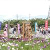 すみよし菖蒲園モデル撮影会