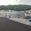 釣れた？釣れない？大阪の小島漁港へ！サビキでアジを釣りに行ってきました。