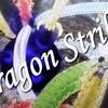 御慶！　集まれドラゴン！（除く異世界）