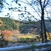 青森の旅1・・・十和田湖　湖上遊覧