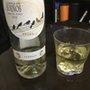 みずみずしい白ワイン【レビュー】『CAMPOS DE SUENOS（カンポス・デ・スエニョス）』