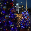 【Event】Christmas Market at BMW Group Tokyo Bay に行ってみました