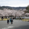 【400字以内の社寺めぐり　１６】春の桜。京都・醍醐山醍醐寺。