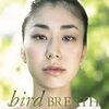 bird / BREATH