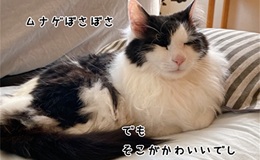 記事を見る
