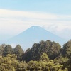 今朝の景色