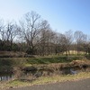 武蔵野公園（東京都小金井市・府中市）