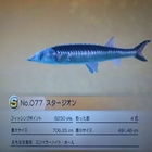 魚図鑑の見方【ファミリーフィッシング めざせSランク制覇