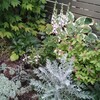 夏の庭に衣替え