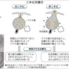 大人も悩むニキビ