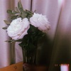 My room Flower