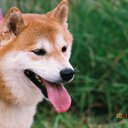 りもりんGO