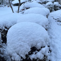雪とタイヤの一日