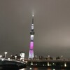 ギリギリまで抵抗するぞ・・・でも無理はしないで隅田川パトロール14キロ