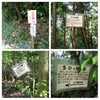 美濃加茂　米田白山　登山