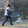 せがーるちゃんが旅だってしまいました