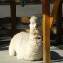 和みたいブログ