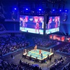 日本武道館（新日本プロレスver.）～大きな玉ねぎの下で～