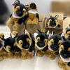 ハドソン＆レックス☆ INTERMISSION #23  REXぬいぐるみ🐶当たった〜😭😭😭😭😭