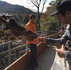 しろとり動物園に行ったよ