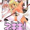 魔法先生ネギま！ 30巻 / 赤松健