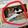 いろんなエールを受けて