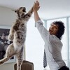 ナショナル　ハイ　ファイブ（High Five)　デイ！　　今年は４月２１日