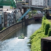 初夏の情景『神田駿河台⑨聖橋からの眺望～神田川を行くボートと松住町架道橋』